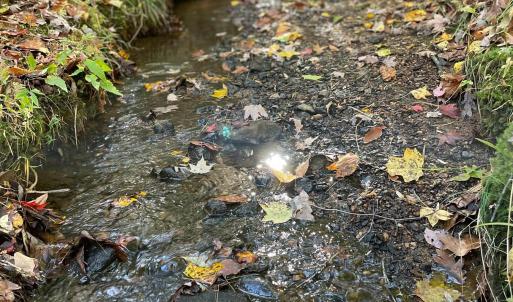 Photo #21 of GARLAND DR, CHARLOTTESVILLE, VA 583.0 acres