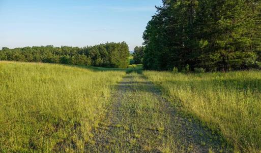 Photo #15 of GARLAND DR, CHARLOTTESVILLE, VA 583.0 acres