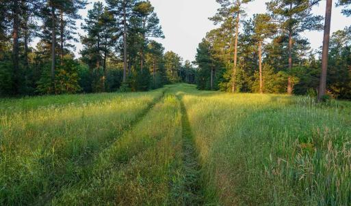 Photo #8 of GARLAND DR, CHARLOTTESVILLE, VA 583.0 acres