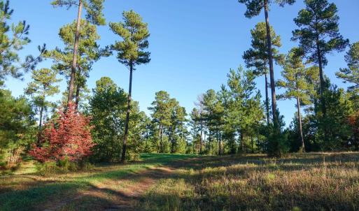 Photo #22 of GARLAND DR, CHARLOTTESVILLE, VA 583.0 acres