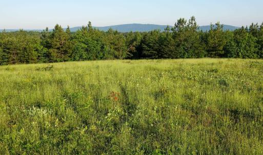 Photo #14 of GARLAND DR, CHARLOTTESVILLE, VA 583.0 acres