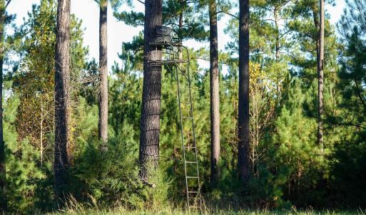 Photo #17 of GARLAND DR, CHARLOTTESVILLE, VA 583.0 acres