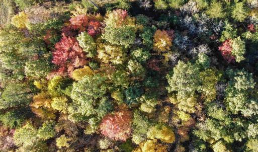 Photo #19 of GARLAND DR, CHARLOTTESVILLE, VA 583.0 acres