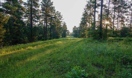 Photo #16 of GARLAND DR, CHARLOTTESVILLE, VA 583.0 acres