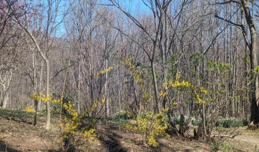 Photo #9 of 2005 UPPER STONY RUN, GREENWOOD, VA 9.4 acres