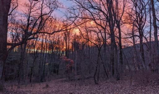 Photo #2 of 2005 UPPER STONY RUN, GREENWOOD, VA 9.4 acres