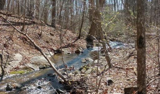 Photo #60 of 2005 UPPER STONY RUN, GREENWOOD, VA 9.4 acres