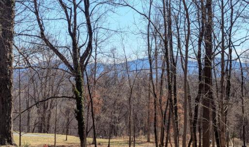 Photo #1 of 2005 UPPER STONY RUN, GREENWOOD, VA 9.4 acres