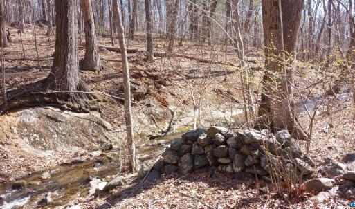 Photo #59 of 2005 UPPER STONY RUN, GREENWOOD, VA 9.4 acres
