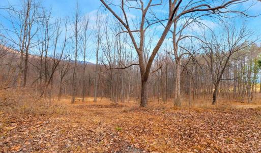 Photo #30 of 2005 UPPER STONY RUN, GREENWOOD, VA 9.4 acres