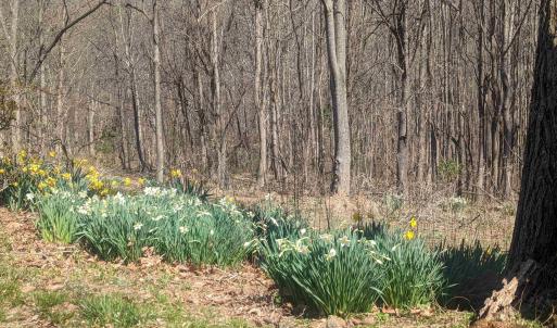 Photo #11 of 2005 UPPER STONY RUN, GREENWOOD, VA 9.4 acres