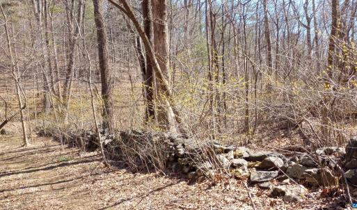 Photo #58 of 2005 UPPER STONY RUN, GREENWOOD, VA 9.4 acres