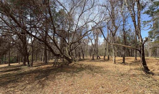 Photo #5 of DULWICH DR, AMHERST, VA 50.0 acres
