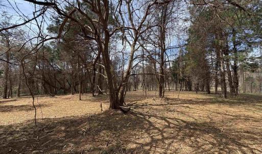 Photo #4 of DULWICH DR, AMHERST, VA 50.0 acres