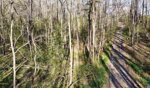 Photo #7 of 4320 IRONWOOD TRL, COLUMBIA, VA 8.1 acres