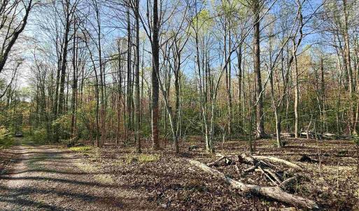 Photo #9 of 4320 IRONWOOD TRL, COLUMBIA, VA 8.1 acres