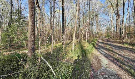 Photo #8 of 4320 IRONWOOD TRL, COLUMBIA, VA 8.1 acres