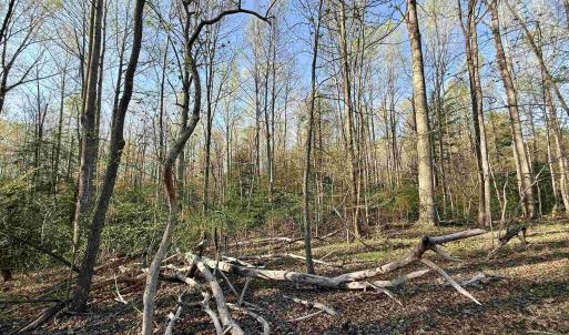 Photo #10 of 4320 IRONWOOD TRL, COLUMBIA, VA 8.1 acres