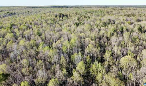 Photo #6 of 4320 IRONWOOD TRL, COLUMBIA, VA 8.1 acres