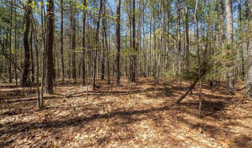 Photo #30 of Lot 27 MARTIN KINGS RD, CHARLOTTESVILLE, VA 4.9 acres