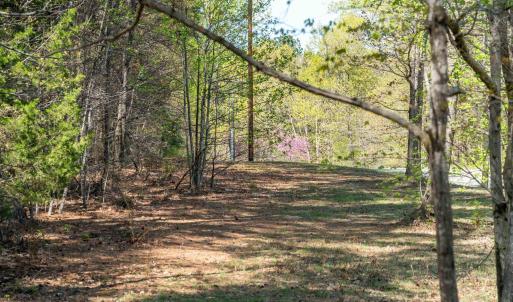 Photo #9 of Lot 27 MARTIN KINGS RD, CHARLOTTESVILLE, VA 4.9 acres