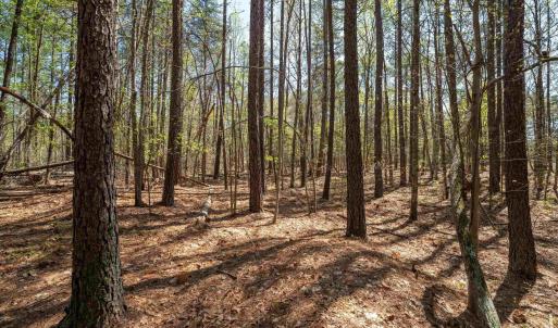 Photo #20 of Lot 27 MARTIN KINGS RD, CHARLOTTESVILLE, VA 4.9 acres