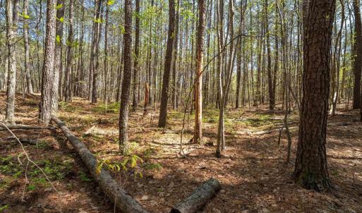 Photo #23 of Lot 27 MARTIN KINGS RD, CHARLOTTESVILLE, VA 4.9 acres