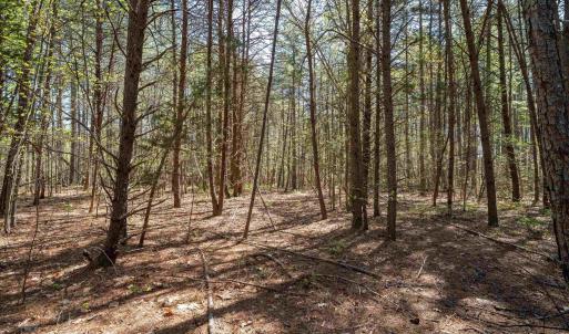 Photo #28 of Lot 27 MARTIN KINGS RD, CHARLOTTESVILLE, VA 4.9 acres