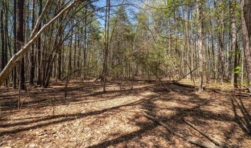 Photo #32 of Lot 27 MARTIN KINGS RD, CHARLOTTESVILLE, VA 4.9 acres