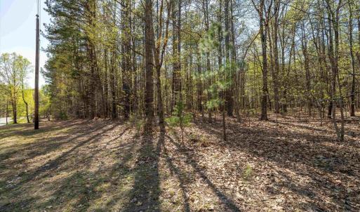 Photo #38 of Lot 27 MARTIN KINGS RD, CHARLOTTESVILLE, VA 4.9 acres
