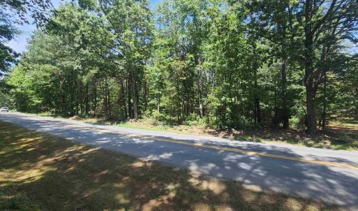 Photo #42 of Lot 27 MARTIN KINGS RD, CHARLOTTESVILLE, VA 4.9 acres
