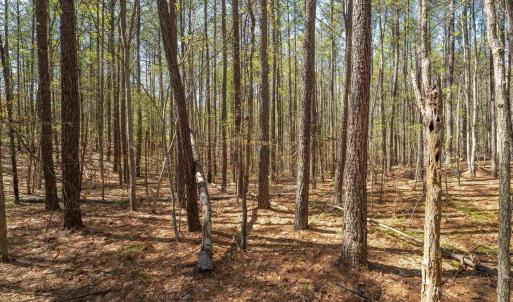 Photo #19 of Lot 27 MARTIN KINGS RD, CHARLOTTESVILLE, VA 4.9 acres