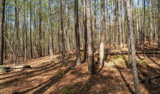 Photo #24 of Lot 27 MARTIN KINGS RD, CHARLOTTESVILLE, VA 4.9 acres