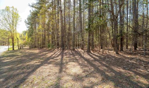 Photo #7 of Lot 27 MARTIN KINGS RD, CHARLOTTESVILLE, VA 4.9 acres