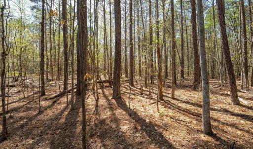 Photo #34 of Lot 27 MARTIN KINGS RD, CHARLOTTESVILLE, VA 4.9 acres