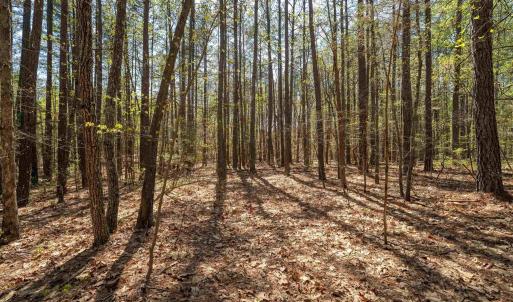 Photo #31 of Lot 27 MARTIN KINGS RD, CHARLOTTESVILLE, VA 4.9 acres