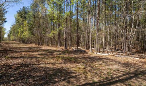 Photo #13 of Lot 27 MARTIN KINGS RD, CHARLOTTESVILLE, VA 4.9 acres