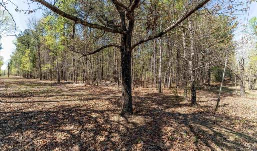 Photo #12 of Lot 27 MARTIN KINGS RD, CHARLOTTESVILLE, VA 4.9 acres