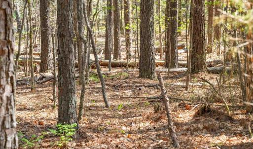 Photo #36 of Lot 27 MARTIN KINGS RD, CHARLOTTESVILLE, VA 4.9 acres