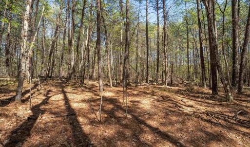 Photo #22 of Lot 27 MARTIN KINGS RD, CHARLOTTESVILLE, VA 4.9 acres