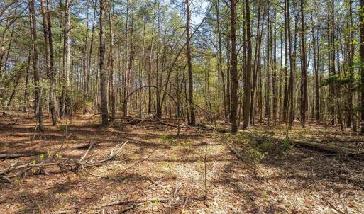 Photo #25 of Lot 27 MARTIN KINGS RD, CHARLOTTESVILLE, VA 4.9 acres