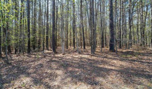 Photo #37 of Lot 27 MARTIN KINGS RD, CHARLOTTESVILLE, VA 4.9 acres
