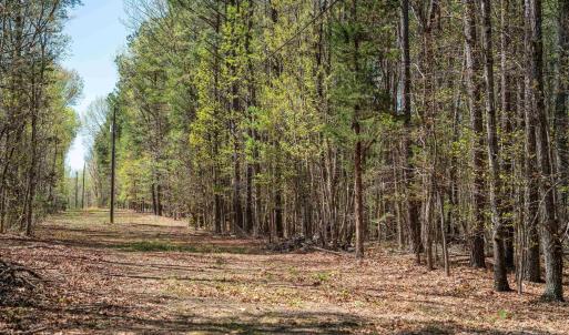 Photo #14 of Lot 27 MARTIN KINGS RD, CHARLOTTESVILLE, VA 4.9 acres
