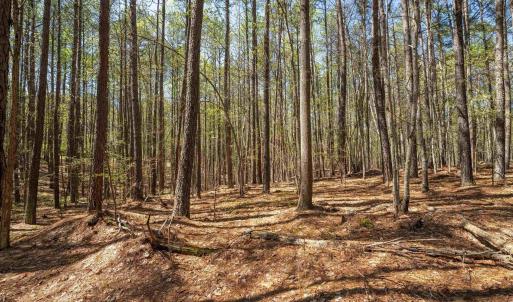 Photo #21 of Lot 27 MARTIN KINGS RD, CHARLOTTESVILLE, VA 4.9 acres