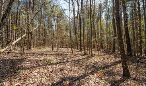 Photo #27 of Lot 27 MARTIN KINGS RD, CHARLOTTESVILLE, VA 4.9 acres