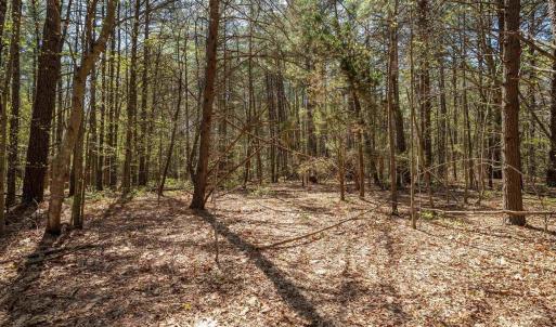 Photo #29 of Lot 27 MARTIN KINGS RD, CHARLOTTESVILLE, VA 4.9 acres