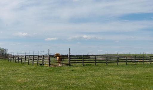 Photo #45 of 309 OLD B AND O RD, STEELES TAVERN, VA 61.1 acres
