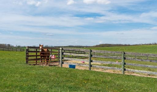 Photo #61 of 309 OLD B AND O RD, STEELES TAVERN, VA 61.1 acres