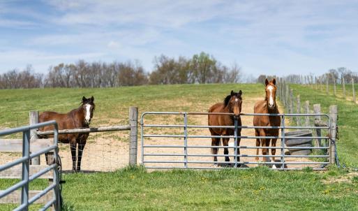Photo #71 of 309 OLD B AND O RD, STEELES TAVERN, VA 61.1 acres