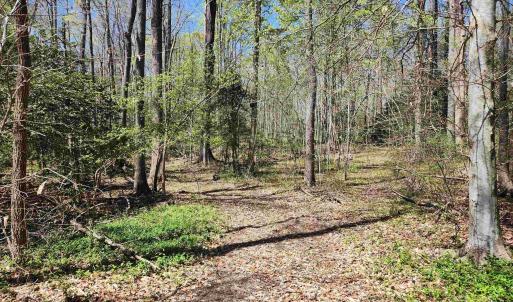 Photo #4 of Lot 15B BENT CREEK LN, BUMPASS, VA 28.0 acres